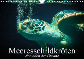 Meeresschildkröten. Nomaden der Ozeane (Wandkalender 2023 DIN A4 quer) von Stanzer,  Elisabeth