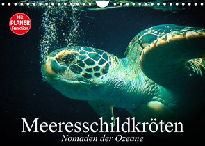 Meeresschildkröten. Nomaden der Ozeane (Wandkalender 2023 DIN A4 quer) von Stanzer,  Elisabeth