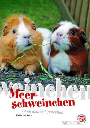 Meerschweinchen von Koch,  Christian