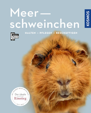 Meerschweinchen von Beck,  Angela