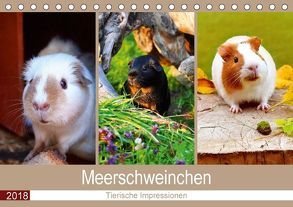 Meerschweinchen 2018. Tierische Impressionen (Tischkalender 2018 DIN A5 quer) von Lehmann (Hrsg.),  Steffani