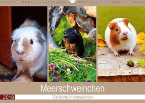 Meerschweinchen 2018. Tierische Impressionen (Wandkalender 2018 DIN A3 quer) von Lehmann (Hrsg.),  Steffani