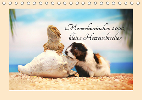 Meerschweinchen 2020, kleine Herzensbrecher (Tischkalender 2020 DIN A5 quer) von Foto Grafia Fotografie,  Anja