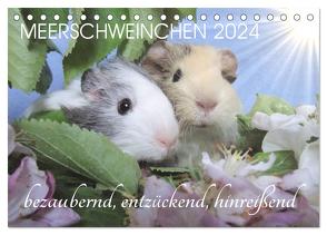 Meerschweinchen 2024 – bezaubernd, hinreißend, entzückend (Tischkalender 2024 DIN A5 quer), CALVENDO Monatskalender von Hampe-Neves,  Sabine