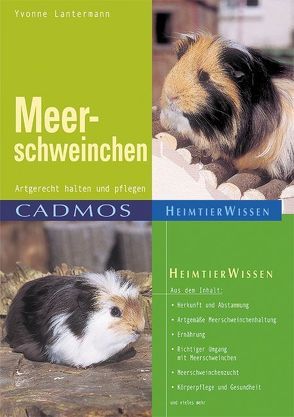 Meerschweinchen von Lantermann,  Yvonne