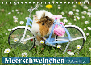 Meerschweinchen. Geliebte Nager (Tischkalender 2023 DIN A5 quer) von Stanzer,  Elisabeth