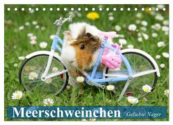 Meerschweinchen. Geliebte Nager (Tischkalender 2024 DIN A5 quer), CALVENDO Monatskalender von Stanzer,  Elisabeth