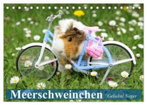 Meerschweinchen. Geliebte Nager (Tischkalender 2024 DIN A5 quer), CALVENDO Monatskalender von Stanzer,  Elisabeth