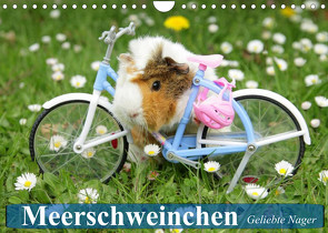 Meerschweinchen. Geliebte Nager (Wandkalender 2022 DIN A4 quer) von Stanzer,  Elisabeth