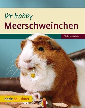 Meerschweinchen Ihr Hobby von Wilde,  Christine