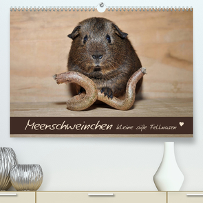 Meerschweinchen – Kleine süße Fellnasen (Premium, hochwertiger DIN A2 Wandkalender 2023, Kunstdruck in Hochglanz) von Fischer,  Petra