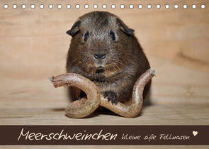 Meerschweinchen – Kleine süße Fellnasen (Tischkalender 2023 DIN A5 quer) von Fischer,  Petra