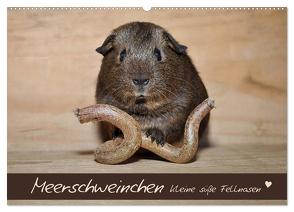 Meerschweinchen – Kleine süße Fellnasen (Wandkalender 2024 DIN A2 quer), CALVENDO Monatskalender von Fischer,  Petra