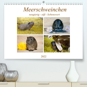 MEERSCHWEINCHEN neugierig – süß – liebenswert (Premium, hochwertiger DIN A2 Wandkalender 2022, Kunstdruck in Hochglanz) von Fischer,  Petra