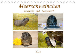 MEERSCHWEINCHEN neugierig – süß – liebenswert (Tischkalender 2022 DIN A5 quer) von Fischer,  Petra