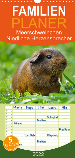 Familienplaner Meerschweinchen Niedliche Herzensbrecher (Wandkalender 2022 , 21 cm x 45 cm, hoch) von Stanzer,  Elisabeth