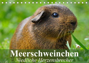 Meerschweinchen Niedliche Herzensbrecher (Tischkalender 2023 DIN A5 quer) von Stanzer,  Elisabeth