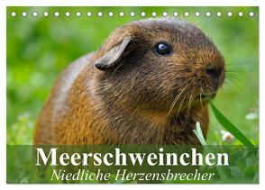 Meerschweinchen Niedliche Herzensbrecher (Tischkalender 2024 DIN A5 quer), CALVENDO Monatskalender von Stanzer,  Elisabeth