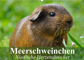 Meerschweinchen Niedliche Herzensbrecher (Wandkalender 2022 DIN A2 quer) von Stanzer,  Elisabeth