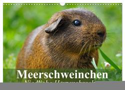 Meerschweinchen Niedliche Herzensbrecher (Wandkalender 2024 DIN A3 quer), CALVENDO Monatskalender von Stanzer,  Elisabeth