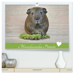 Meerschweinchen Portraits (hochwertiger Premium Wandkalender 2024 DIN A2 quer), Kunstdruck in Hochglanz von Fischer,  Petra