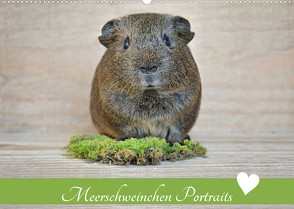 Meerschweinchen Portraits (Wandkalender 2023 DIN A2 quer) von Fischer,  Petra