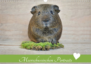 Meerschweinchen Portraits (Wandkalender 2023 DIN A3 quer) von Fischer,  Petra