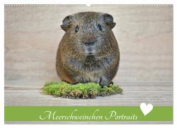 Meerschweinchen Portraits (Wandkalender 2024 DIN A2 quer), CALVENDO Monatskalender von Fischer,  Petra