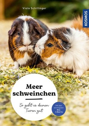 Meerschweinchen von Schillinger,  Viola