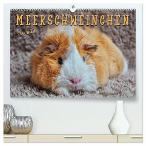 Meerschweinchen – so süß (hochwertiger Premium Wandkalender 2024 DIN A2 quer), Kunstdruck in Hochglanz von Roder,  Peter