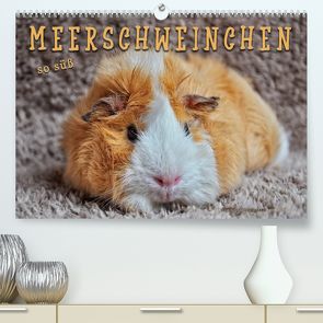 Meerschweinchen – so süß (Premium, hochwertiger DIN A2 Wandkalender 2023, Kunstdruck in Hochglanz) von Roder,  Peter