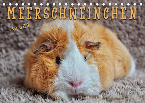 Meerschweinchen – so süß (Tischkalender 2022 DIN A5 quer) von Roder,  Peter