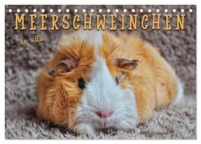 Meerschweinchen – so süß (Tischkalender 2024 DIN A5 quer), CALVENDO Monatskalender von Roder,  Peter