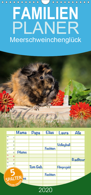 Meerschweinchenglück – Familienplaner hoch (Wandkalender 2020 , 21 cm x 45 cm, hoch) von Scharnberg,  Sabine