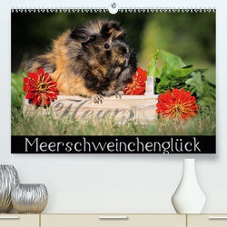 Meerschweinchenglück (Premium, hochwertiger DIN A2 Wandkalender 2020, Kunstdruck in Hochglanz) von Scharnberg,  Sabine