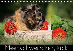 Meerschweinchenglück (Tischkalender 2018 DIN A5 quer) von Scharnberg,  Sabine