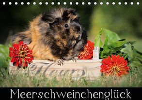 Meerschweinchenglück (Tischkalender 2019 DIN A5 quer) von Scharnberg,  Sabine