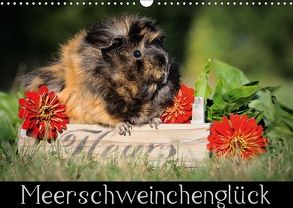 Meerschweinchenglück (Wandkalender 2018 DIN A3 quer) von Scharnberg,  Sabine