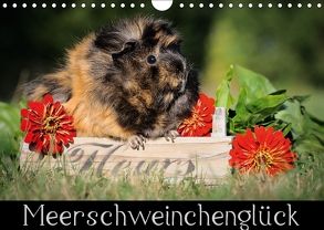 Meerschweinchenglück (Wandkalender 2018 DIN A4 quer) von Scharnberg,  Sabine