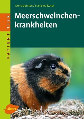 Meerschweinchenkrankheiten von Malkusch,  Frank, Quinten,  Doris