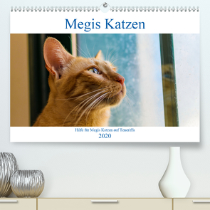 Megis Katzen (Premium, hochwertiger DIN A2 Wandkalender 2020, Kunstdruck in Hochglanz) von Kovac,  Megi