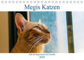 Megis Katzen (Tischkalender 2019 DIN A5 quer) von Kovac,  Megi