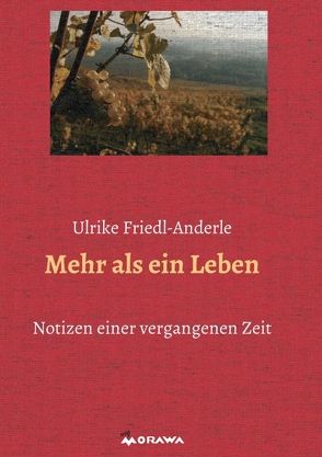 Mehr als ein Leben von Friedl-Anderle,  Ulrike