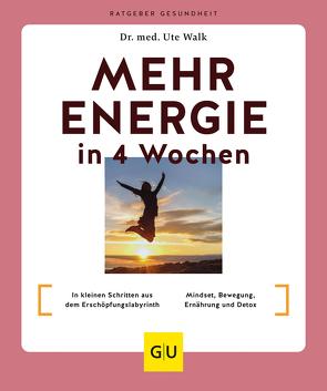 Mehr Energie in 4 Wochen von Walk,  Dr. med. Ute