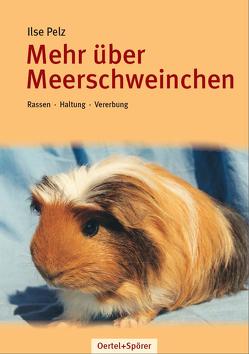 Mehr über Meerschweinchen von Pelz,  Ilse