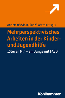 Mehrperspektivisches Arbeiten in der Kinder- und Jugendhilfe von Baldauf-Himmelmann,  Oda, Balz,  Regina, Becker,  Gela, Decarli,  Julia, Eichfeld,  Christian, Höflich,  Peter, Jost,  Annemarie, Wirth,  Jan V.