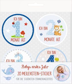 Meilenstein-Sticker – BabyGlück – Babys erstes Jahr (blau) von Mußenbrock,  Anne