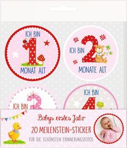 Meilenstein-Sticker – BabyGlück – Babys erstes Jahr (rosa) von Mußenbrock,  Anne