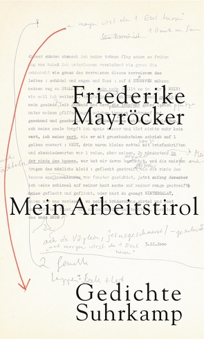 Mein Arbeitstirol von Mayröcker,  Friederike