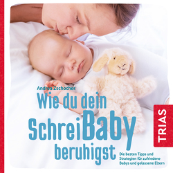 Wie du dein Schreibaby beruhigst von Lehmann,  Anja, Zschocher,  Andrea